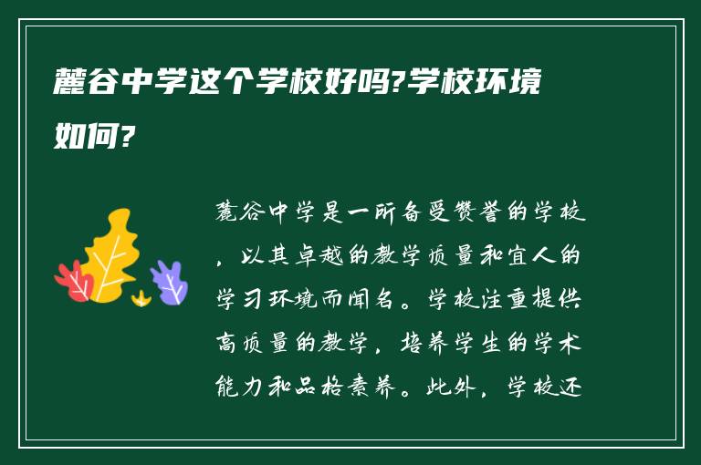 麓谷中学这个学校好吗?学校环境如何?