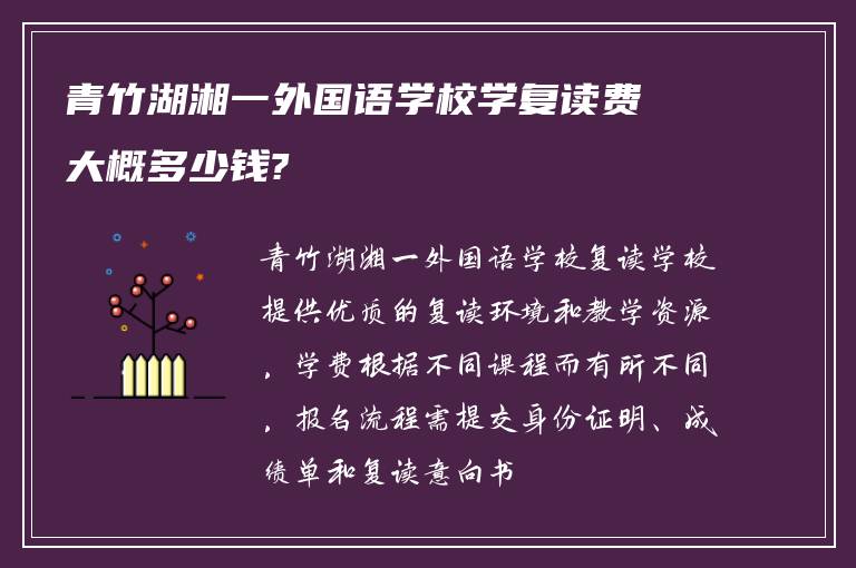 青竹湖湘一外国语学校学复读费大概多少钱?