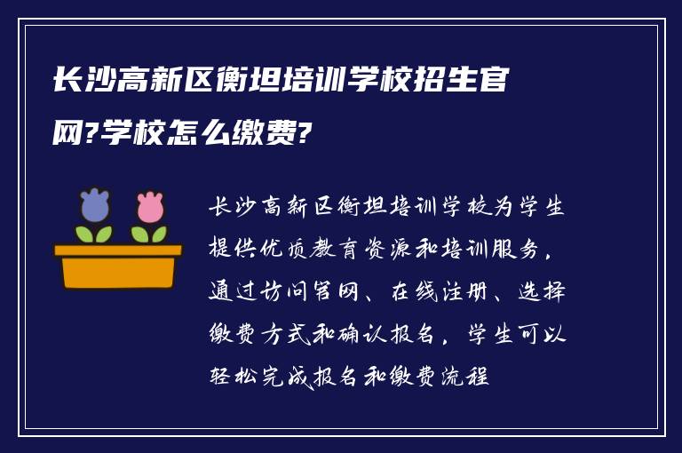 长沙高新区衡坦培训学校招生官网?学校怎么缴费?