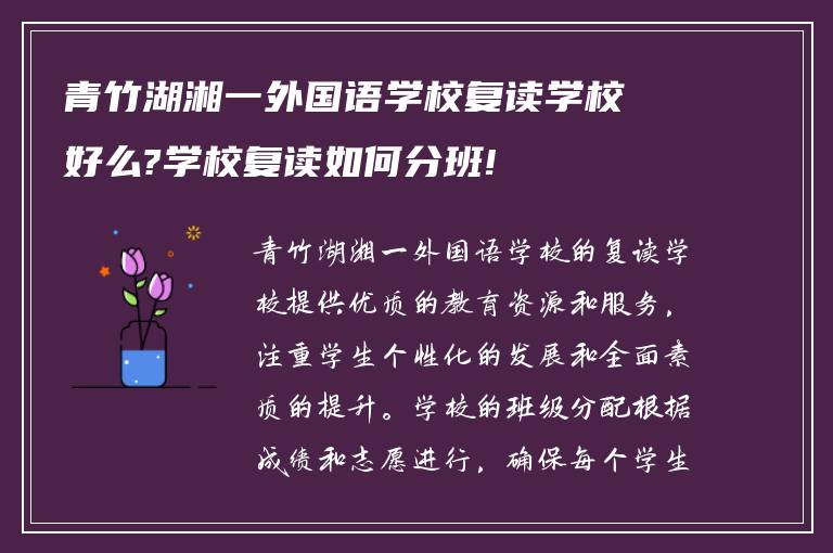 青竹湖湘一外国语学校复读学校好么?学校复读如何分班!