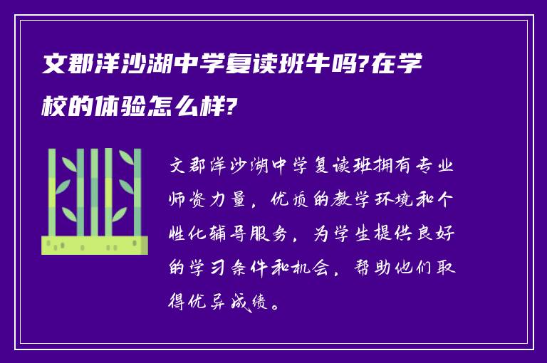 文郡洋沙湖中学复读班牛吗?在学校的体验怎么样?