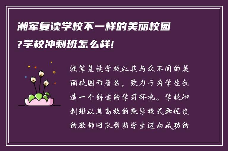 湘军复读学校不一样的美丽校园?学校冲刺班怎么样!