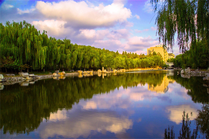 单招难度大揭秘:常见误区与真实情况解析