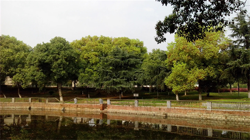 高三学生如何克服急躁情绪_高三学生烦躁的原因_