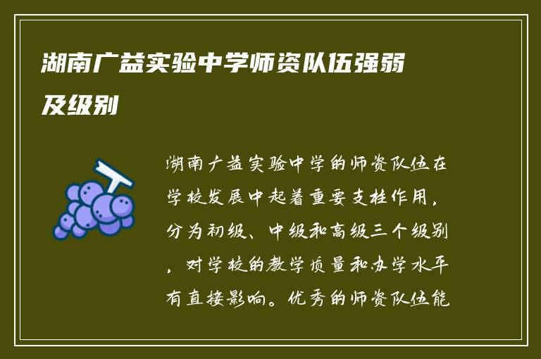 湖南广益实验中学师资队伍强弱及级别