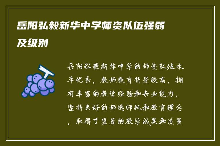 岳阳弘毅新华中学师资队伍强弱及级别