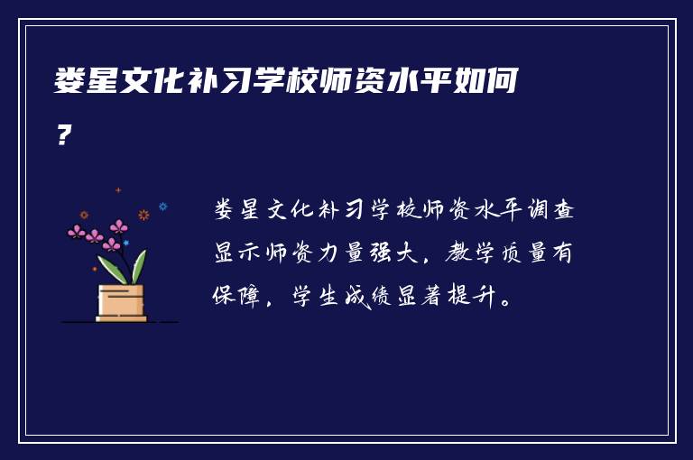 娄星文化补习学校师资水平如何？