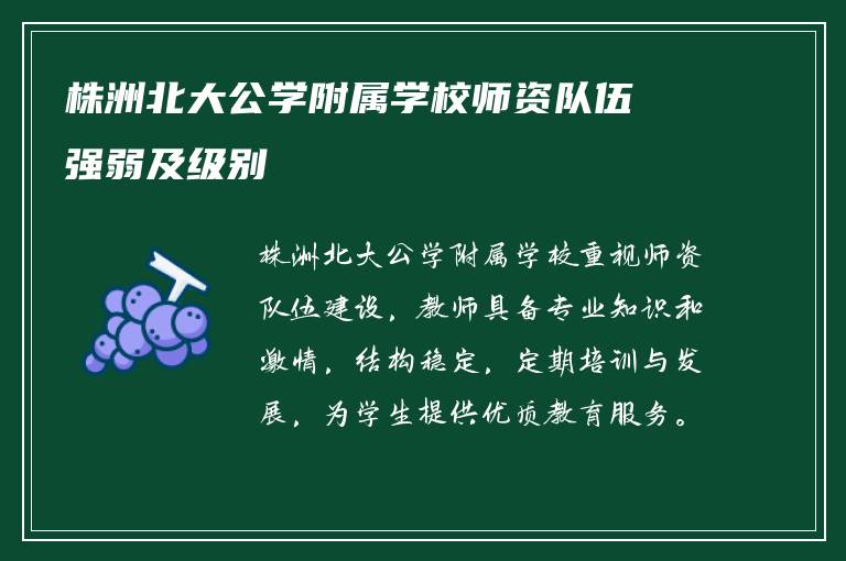 株洲北大公学附属学校师资队伍强弱及级别