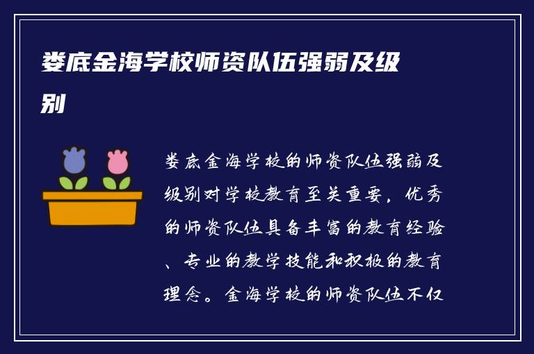 娄底金海学校师资队伍强弱及级别