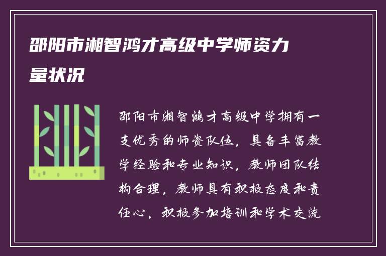 邵阳市湘智鸿才高级中学师资力量状况