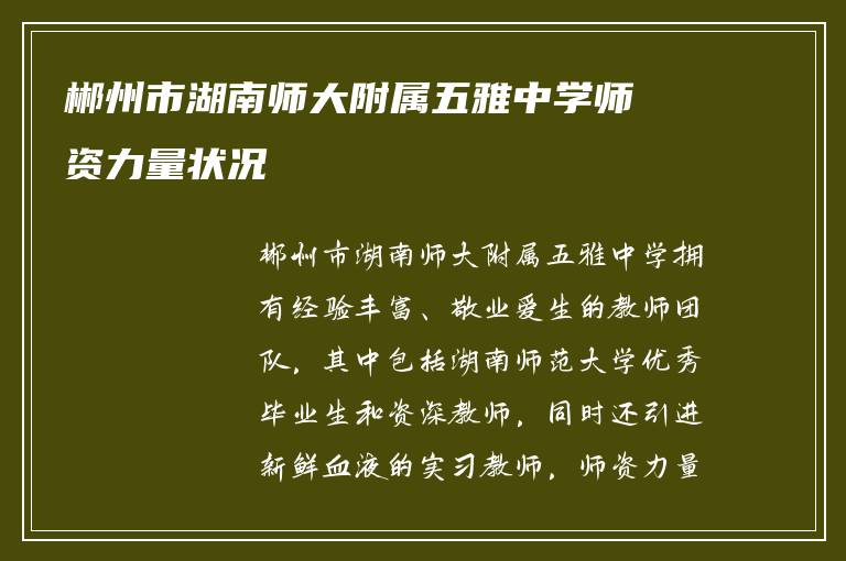 郴州市湖南师大附属五雅中学师资力量状况