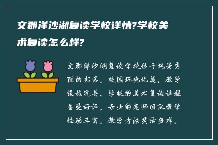 文郡洋沙湖复读学校详情?学校美术复读怎么样?