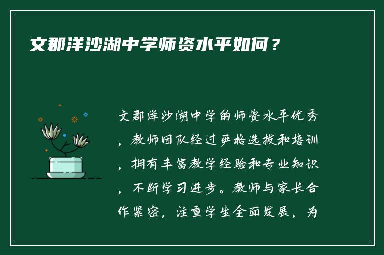 文郡洋沙湖中学师资水平如何？