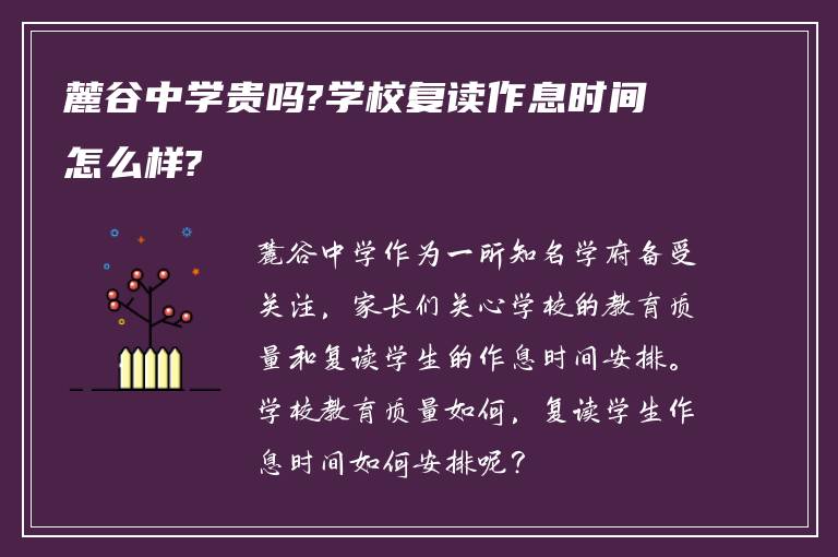 麓谷中学贵吗?学校复读作息时间怎么样?