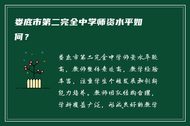 娄底市第二完全中学师资水平如何？