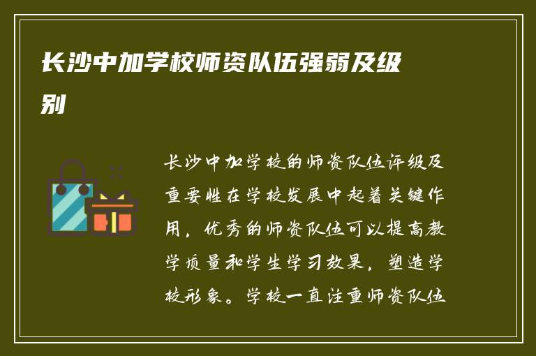 长沙中加学校师资队伍强弱及级别