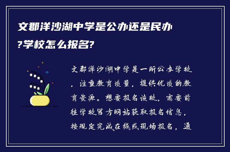 文郡洋沙湖中学是公办还是民办?学校怎么报名?