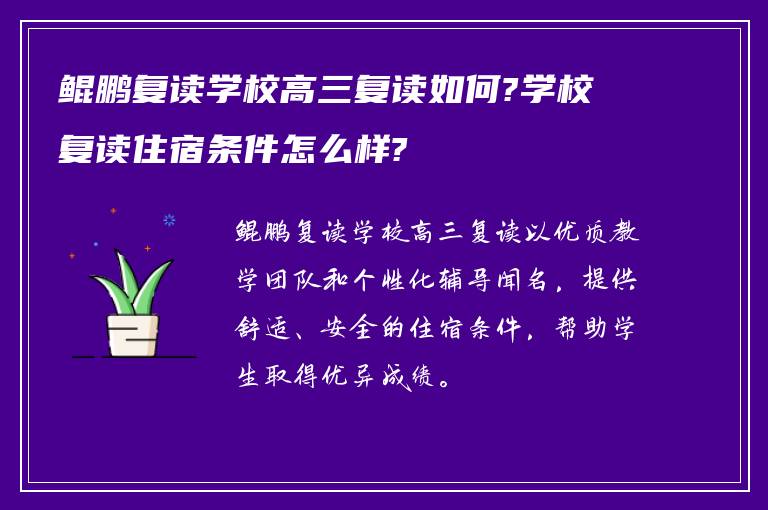 鲲鹏复读学校高三复读如何?学校复读住宿条件怎么样?