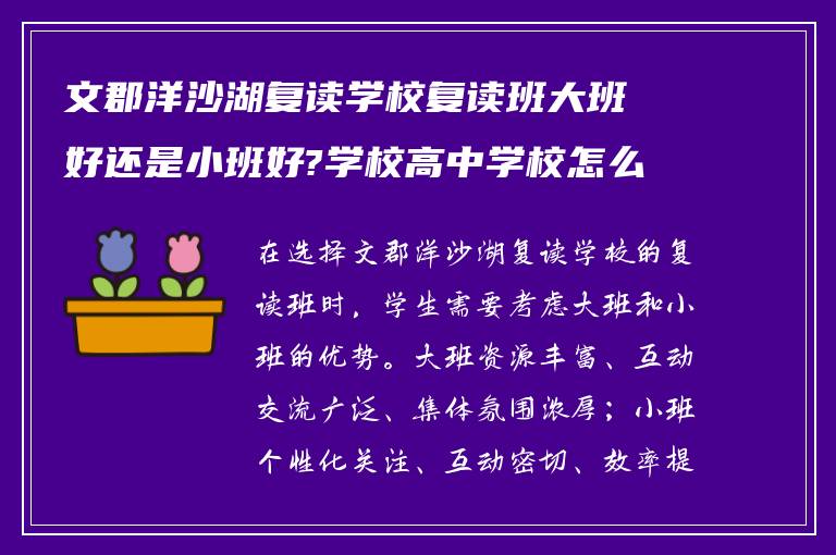 文郡洋沙湖复读学校复读班大班好还是小班好?学校高中学校怎么样?