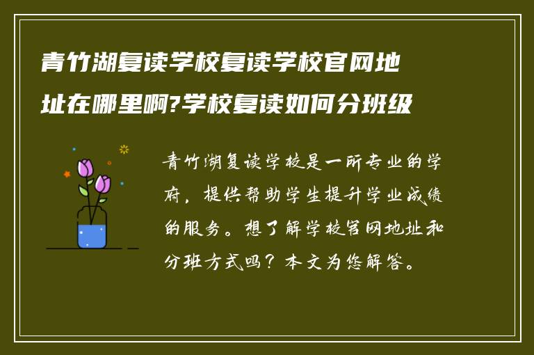 青竹湖复读学校复读学校官网地址在哪里啊?学校复读如何分班级?