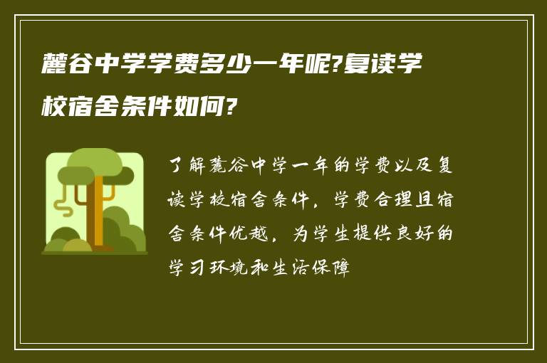 麓谷中学学费多少一年呢?复读学校宿舍条件如何?