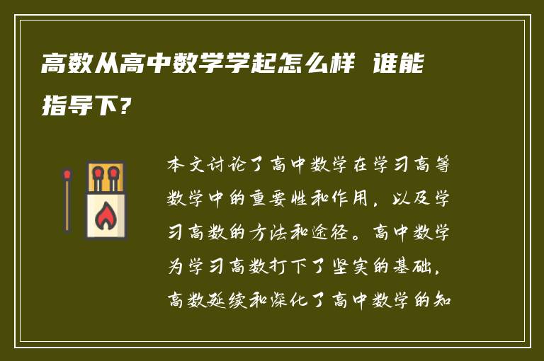 高数从高中数学学起怎么样 谁能指导下?