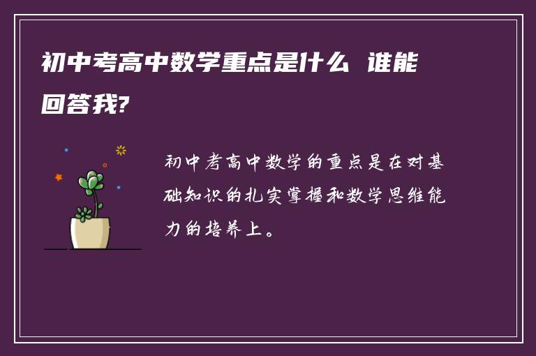 初中考高中数学重点是什么 谁能回答我?