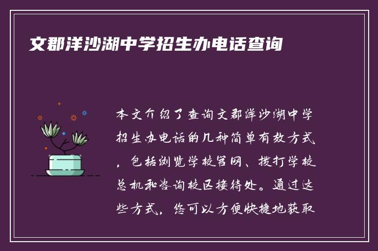 文郡洋沙湖中学招生办电话查询