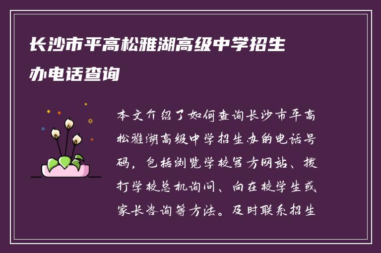 长沙市平高松雅湖高级中学招生办电话查询