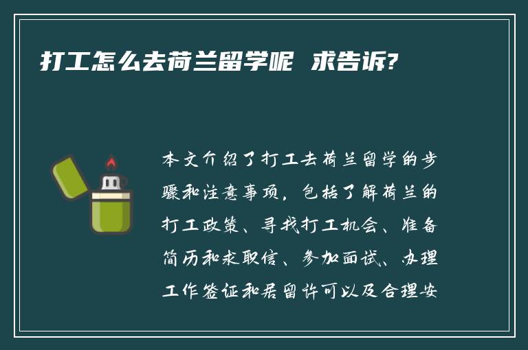 打工怎么去荷兰留学呢 求告诉?