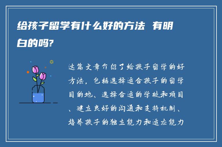 给孩子留学有什么好的方法 有明白的吗?