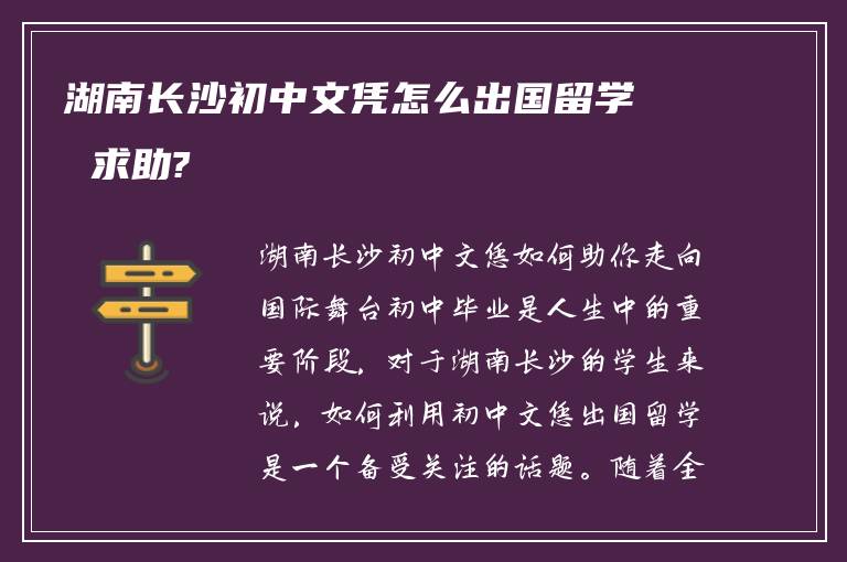 湖南长沙初中文凭怎么出国留学 求助?