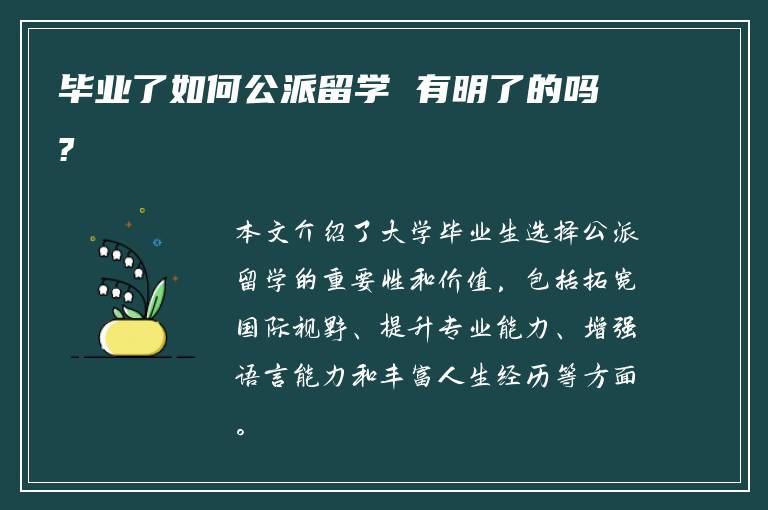 毕业了如何公派留学 有明了的吗?