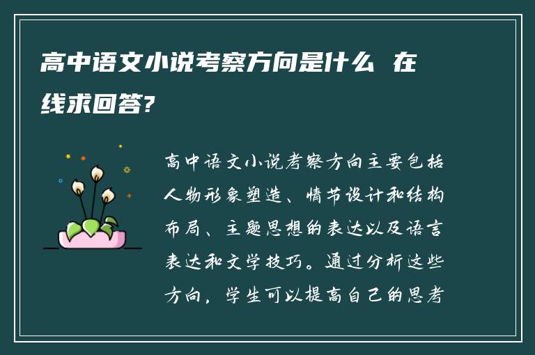 高中语文小说考察方向是什么 在线求回答?