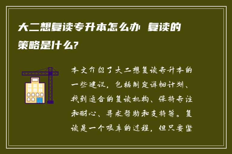 大二想复读专升本怎么办 复读的策略是什么?