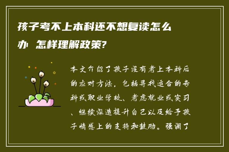 孩子考不上本科还不想复读怎么办 怎样理解政策?