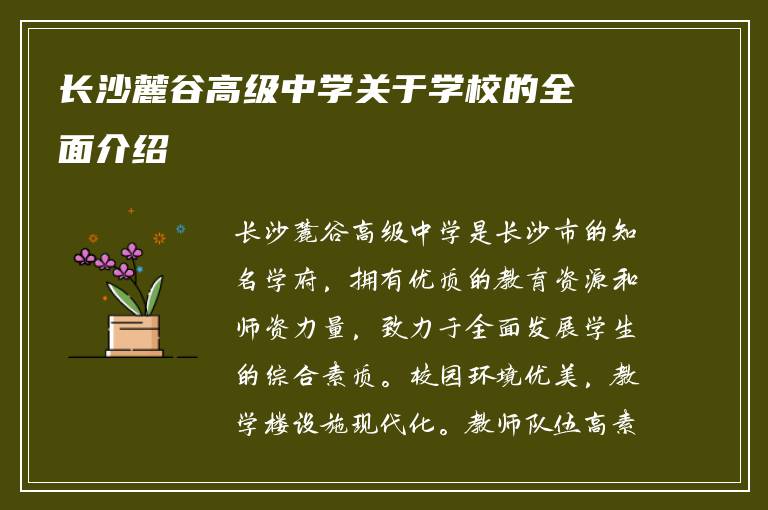 长沙麓谷高级中学关于学校的全面介绍