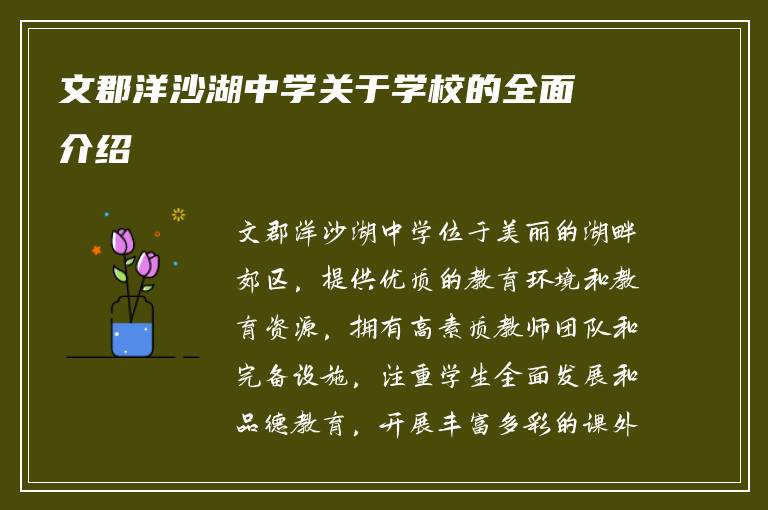 文郡洋沙湖中学关于学校的全面介绍