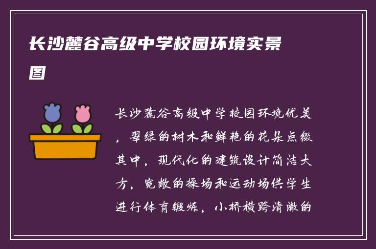 长沙麓谷高级中学校园环境实景图