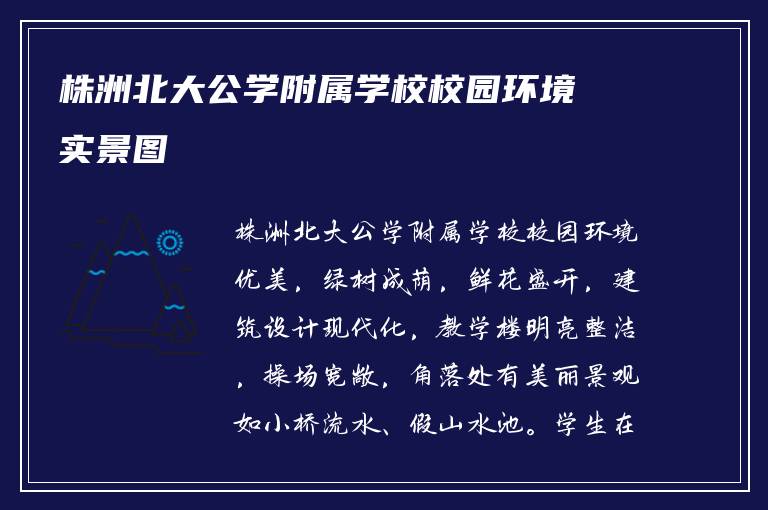 株洲北大公学附属学校校园环境实景图