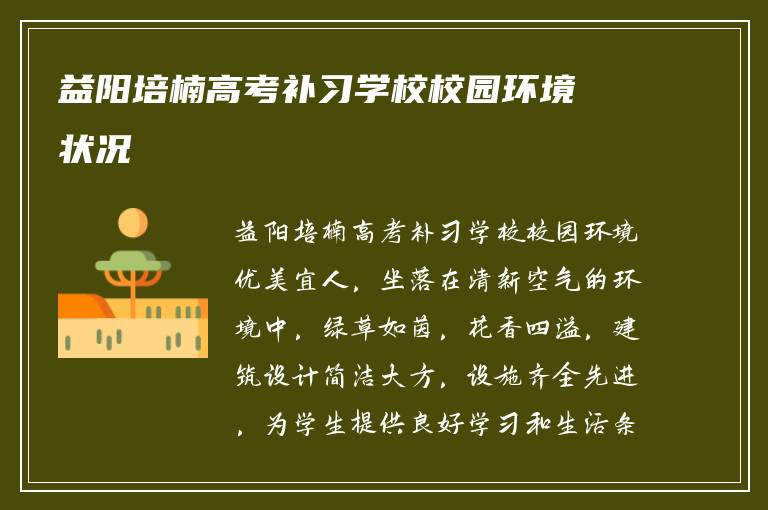 益阳培楠高考补习学校校园环境状况