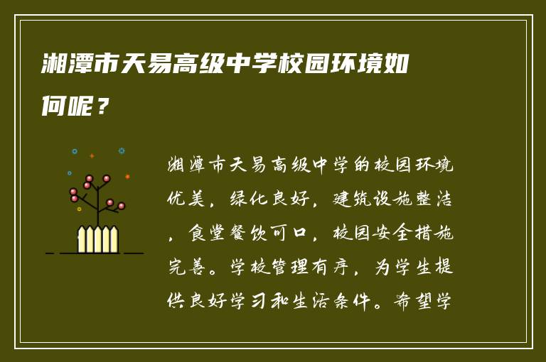 湘潭市天易高级中学校园环境如何呢？