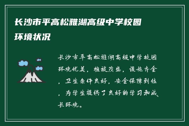 长沙市平高松雅湖高级中学校园环境状况