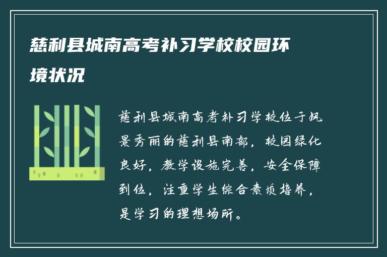 慈利县城南高考补习学校校园环境状况