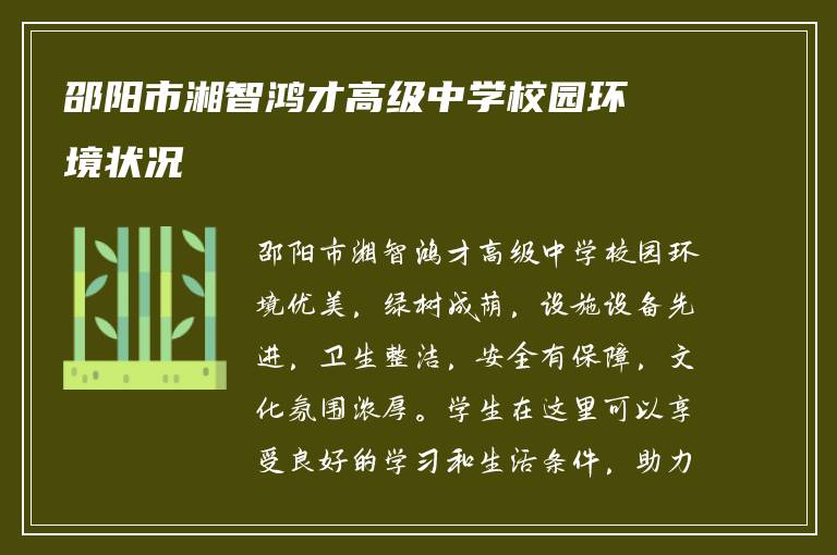 邵阳市湘智鸿才高级中学校园环境状况