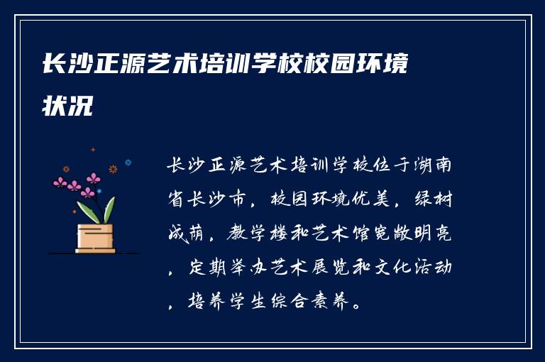 长沙正源艺术培训学校校园环境状况