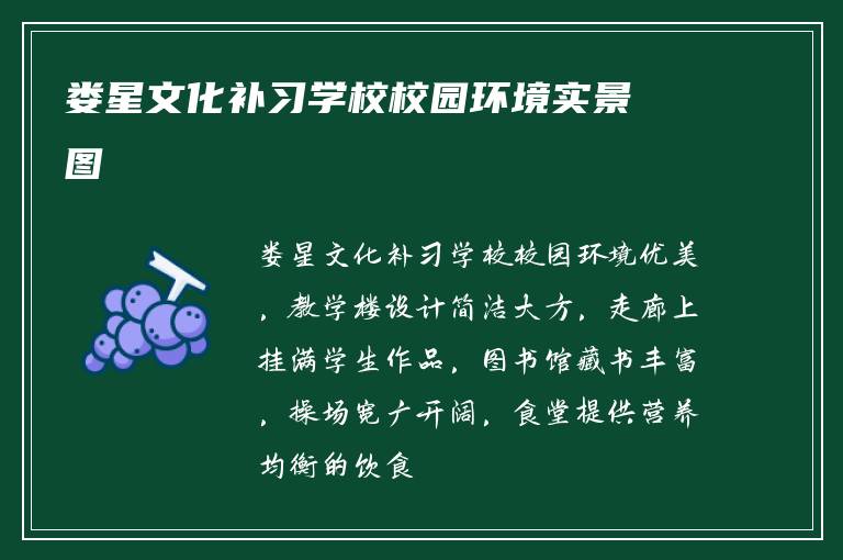 娄星文化补习学校校园环境实景图