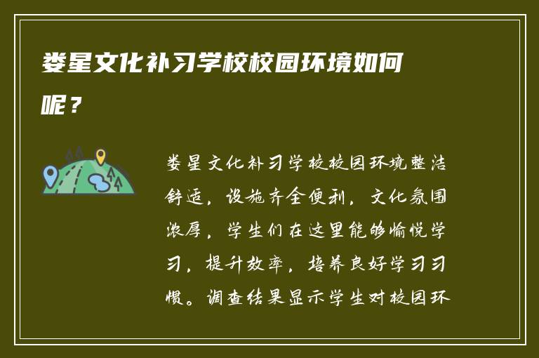 娄星文化补习学校校园环境如何呢？