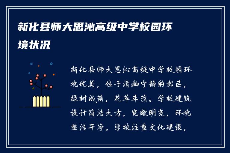 新化县师大思沁高级中学校园环境状况